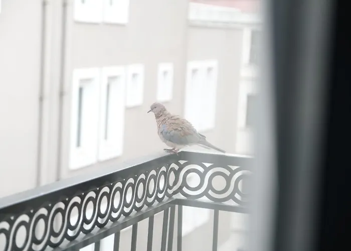 Aparthotel Yellow Mansion